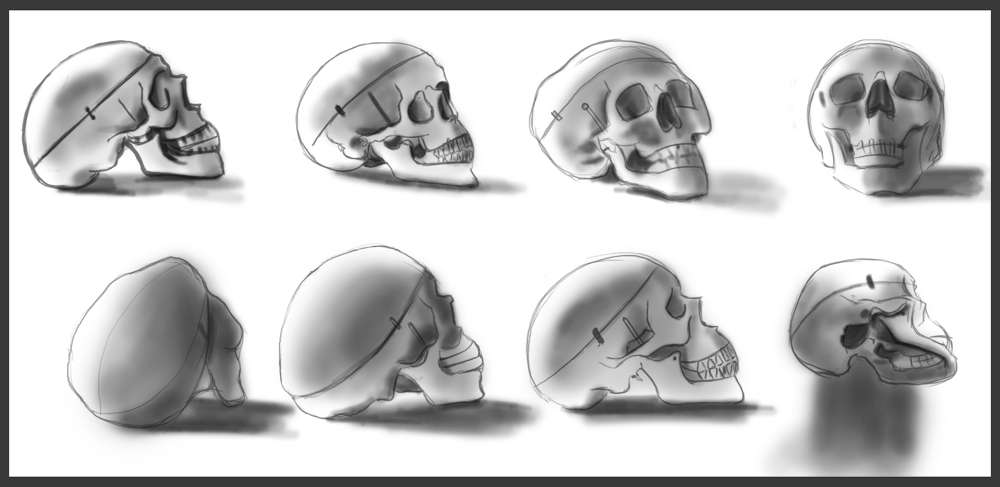 [Image: skullstudies151112.jpg]